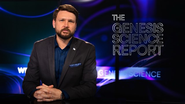 Genesis Science Report show art